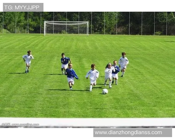 植物人足球明星的传奇人生与不屈精神展现了体育的力量与希望