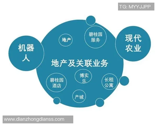 足球明星如何通过多元化收入渠道实现财富增长与品牌价值提升