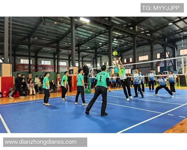 排球巨献：探秘杭州排球队的力量