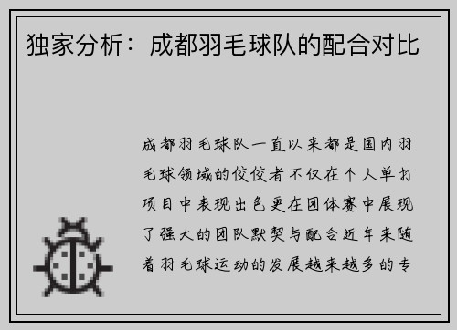 独家分析:成都羽毛球队的配合对比