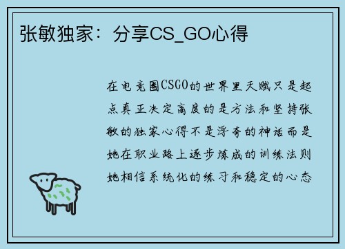 张敏独家:分享CS_GO心得