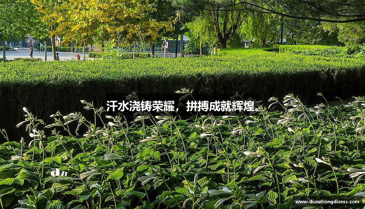 汗水浇铸荣耀，拼搏成就辉煌。